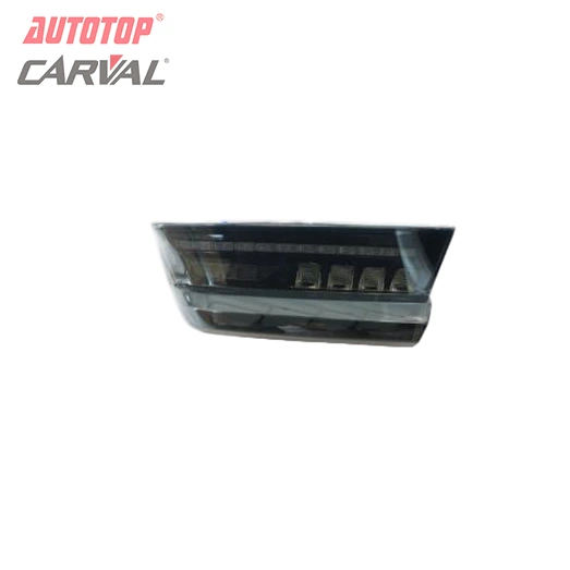 Faro trasero en escala de dragón para BMW Serie 3 G20/G28